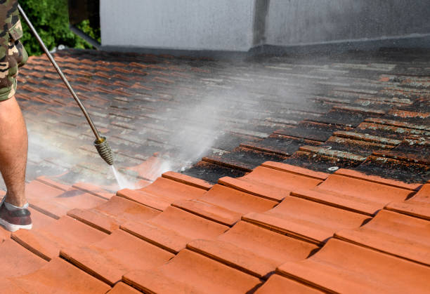 Best Roof Pressure Washing  in Mount Holly, NC